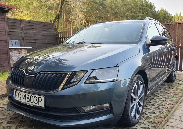 Skoda Octavia cena 69999 przebieg: 197845, rok produkcji 2019 z Iłża małe 781